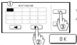 ① BLATTAN.AISE ② OK