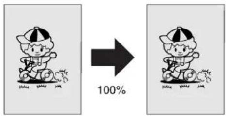 100%