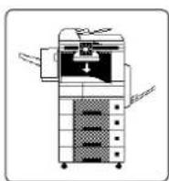 PANASONIC DP-3010 - ● Papierstau beseitigen (Transportbereich) - 1