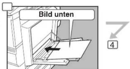 Bild unten 4