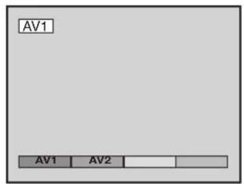 PANASONIC Viera TX-20LA2X - توصيلات الصوت/الصورة - 4