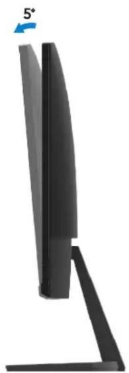 DELL SE2219H - Neigung - 1
