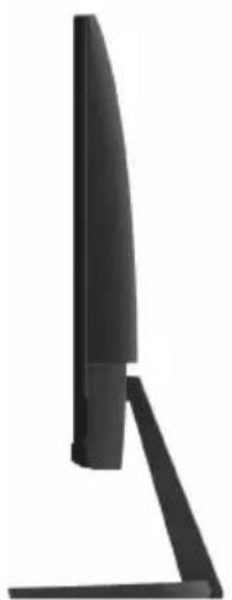 DELL SE2219H - Seitenansicht - 1