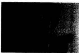 PANASONIC NN-T589 - PAPER - 1