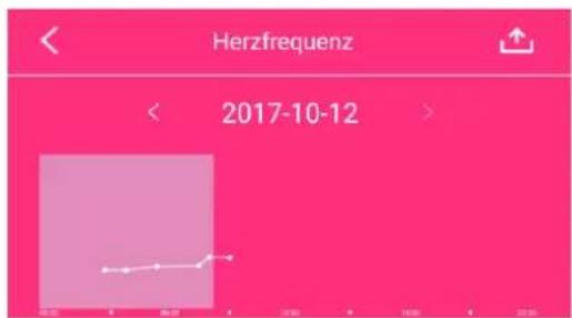 Xlyne Siona XW FIT - DETAILANSICHTEN: - 2