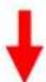 Xlyne Keto XW Fit - SCHRITTZÄHLER - 2