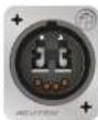 Lightware DVIDL-OPT-TX200 - Fiber Optical Connector - 1
