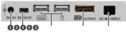 Lightware DP-OPT-RX150 - Rear View - 1