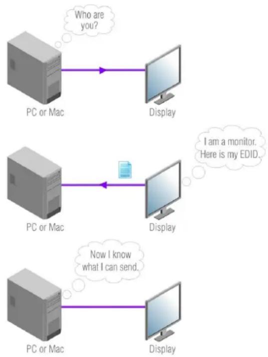Lightware DVI-TP-TX200 - Basics - 1