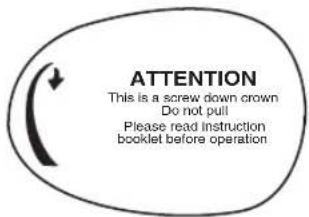 Nautica NST 101 - SCREW-IN SETTING CROWN - 1