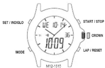 Nautica NCC 01 Chrono - ANALOG AND DIGITAL MODELS - 1