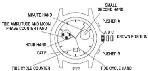 Nautica BFD 105 Chrono - SPECIAL FUNCTION MODELS - 1
