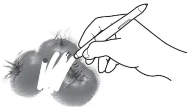 WACOM CintiQ DTU-1631 - ERASING - 1