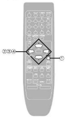 PANASONIC SC-EH790 - On the remote control - 3