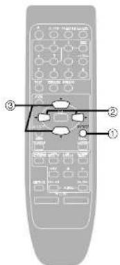PANASONIC SC-EH790 - Remote control only - 3