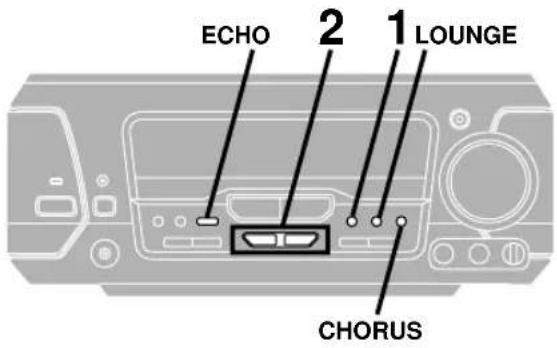 PANASONIC SC-DV290 - To record your performance - 2