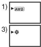 PANASONIC NV-GS6GC - 到自然的彩拍攝(白衡) - 4