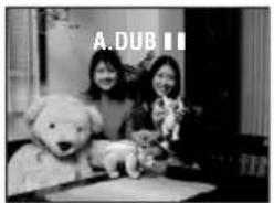 A.DUB II