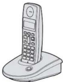PANASONIC KX-TG1092G - 1
