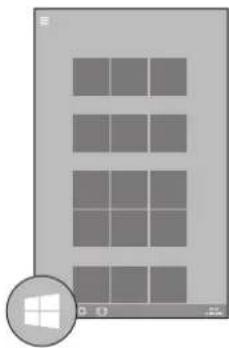 Newland NQuire 800 II - The Windows home button - 2