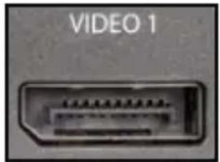 StarTech.com TB3CDK2DPUE - DisplayPort Port - 1