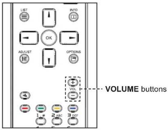 AG Neovo RX-32E - Adjusting the Volume - 1