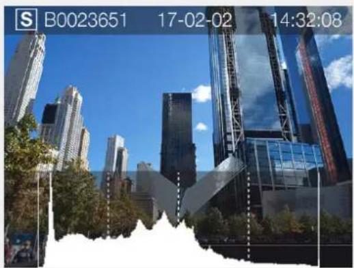 HASSELBLAD H6D - LUMINANCE HISTOGRAM MODE - 1