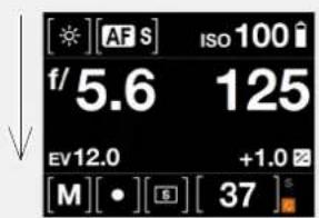 HASSELBLAD H6D - Screen function - 4