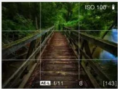 HASSELBLAD H6D - Overlay - 3