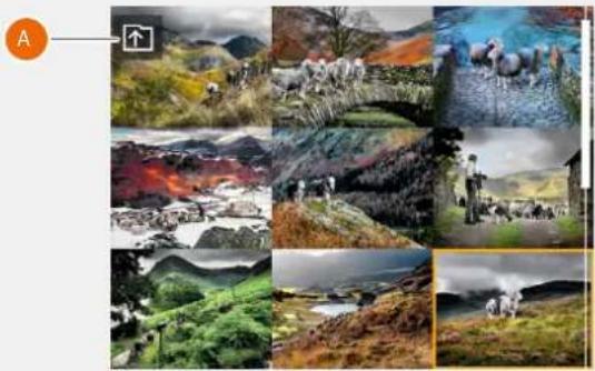HASSELBLAD H6D - Folder View - 3