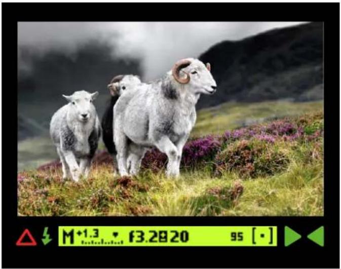 HASSELBLAD H6D - VIEWFINDER DISPLAY EXAMPLE - 2