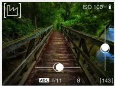 HASSELBLAD H6D - Overlay - 4