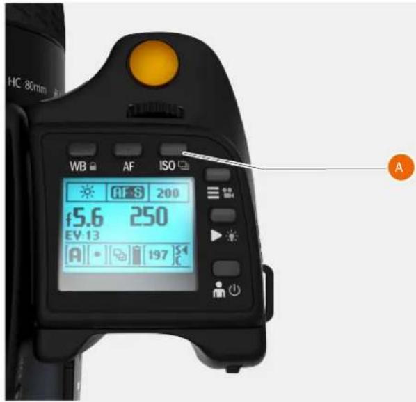 HASSELBLAD H6D - Note! - 1