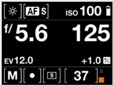 HASSELBLAD H6D - Memory Card - 2