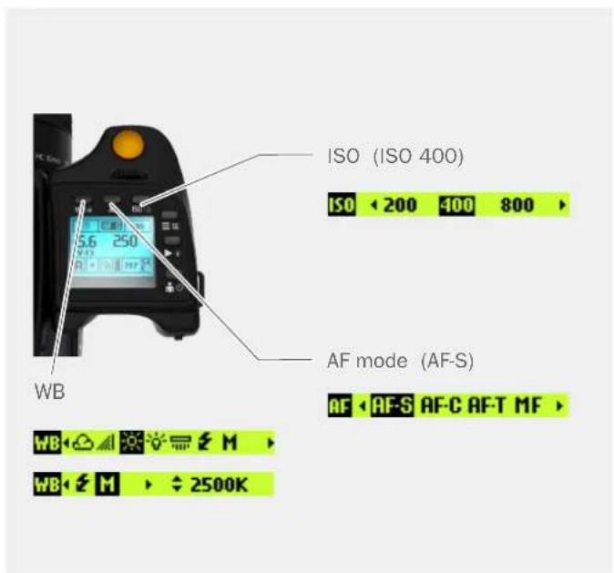 HASSELBLAD H6D - Note! - 2