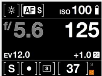 HASSELBLAD H6D - S Mode - 4