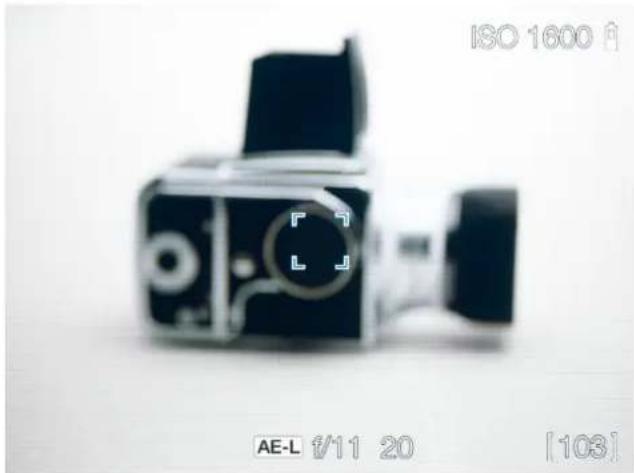HASSELBLAD H6D - FOCUS IN LIVE VIEW USING FOCUS PEAKING - 1