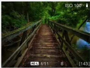 HASSELBLAD H6D - Overlay - 2