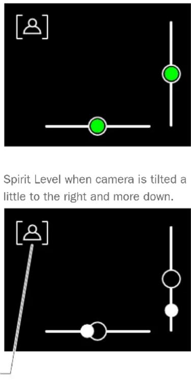 HASSELBLAD H6D - How to reset Spirit Level to Factory calibration - 2