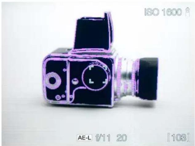 HASSELBLAD H6D - FOCUS IN LIVE VIEW USING FOCUS PEAKING - 2