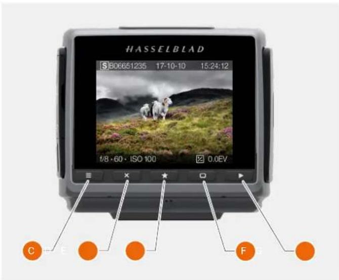 HASSELBLAD H6D - BROWSING - 2