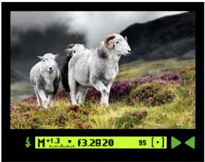 HASSELBLAD H6D - MANUAL EXPOSURE MODE - 3