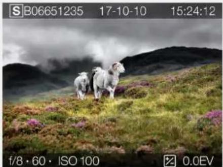 HASSELBLAD H6D - Folder View - 2