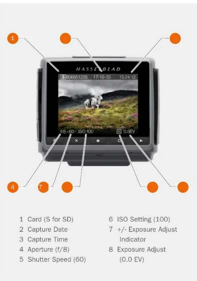 HASSELBLAD H6D - STANDARD PREVIEW - 1