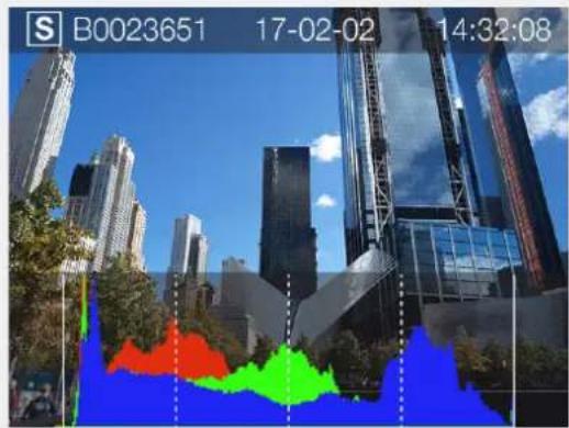 HASSELBLAD H6D - HISTOGRAM MODE - 1