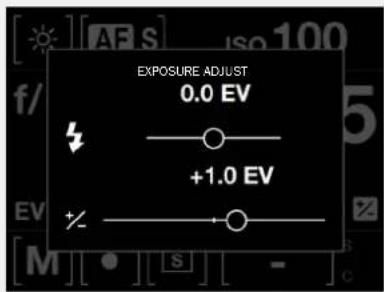 HASSELBLAD H6D - Metering Mode - 2