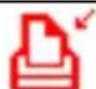 EASYPIX S120 - Icons & Indicators - 22