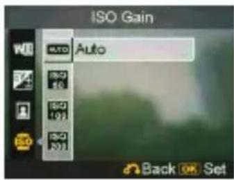 EASYPIX S530 Touch - ISO Gain - 1