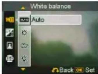 EASYPIX S530 Touch - - White balance - 1