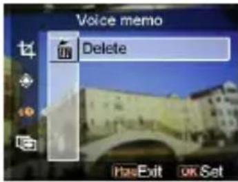 EASYPIX SDV1200 - - Voice memo - 1